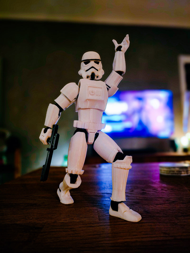Dummy13 X StormTrooper | Koleksiyonluk 3D Baskı Figür